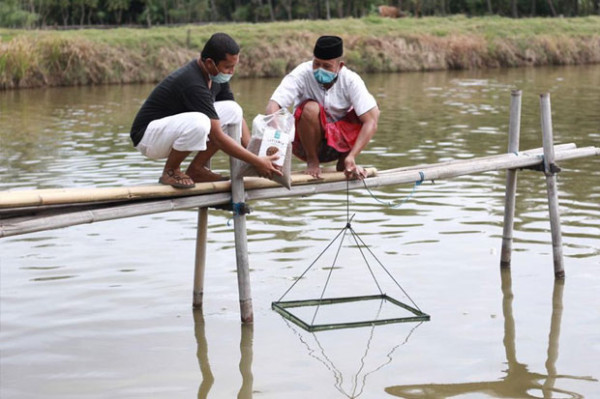 Pertamina Patra Niaga Regional Sulawesi Raih Dua Penghargaan CSR