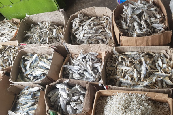 Fenomena UMKM Mendadak Digital, Tidak Serta Merta Produknya Langsung Laris