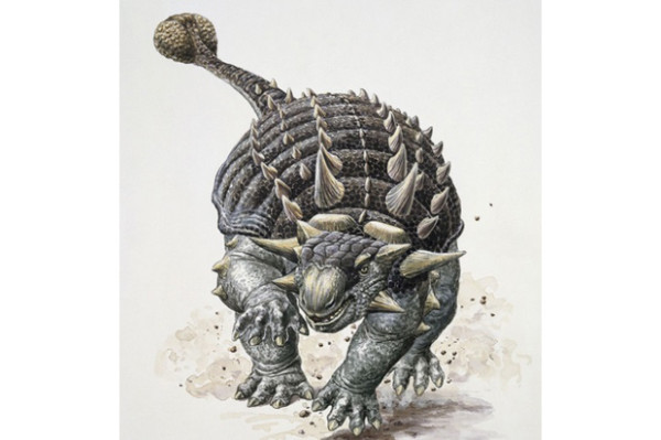 Fosil Baru Spesies Dinosaurus Lapis Baja Ditemukan di Afrika