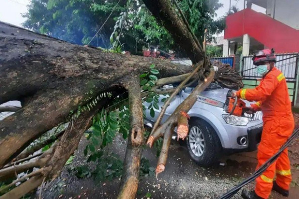 Hujan Angin di Depok Tumbangkan Sejumlah Pohon Besar dan Timpa Mobil