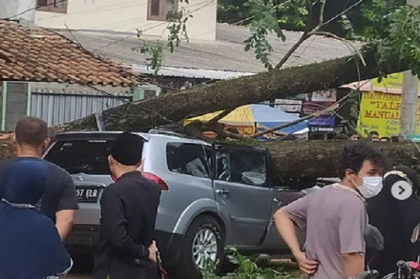 Hujan Angin di Depok Tumbangkan Sejumlah Pohon Besar dan Timpa Mobil