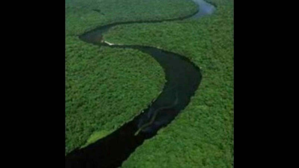 Sempat Muncul di Sungai Baleh, Nabau Ular Raksasa yang Dikeramatkan Suku Dayak