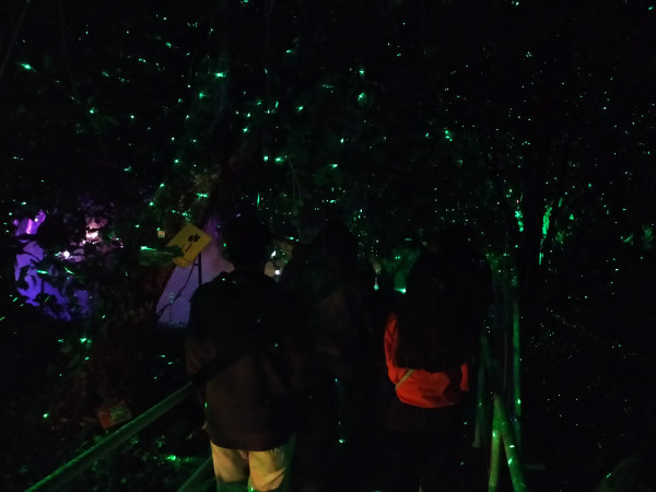 Mengintip Eduwisata Malam GLOW yang Bakal Mempercantik Kebun Raya Bogor