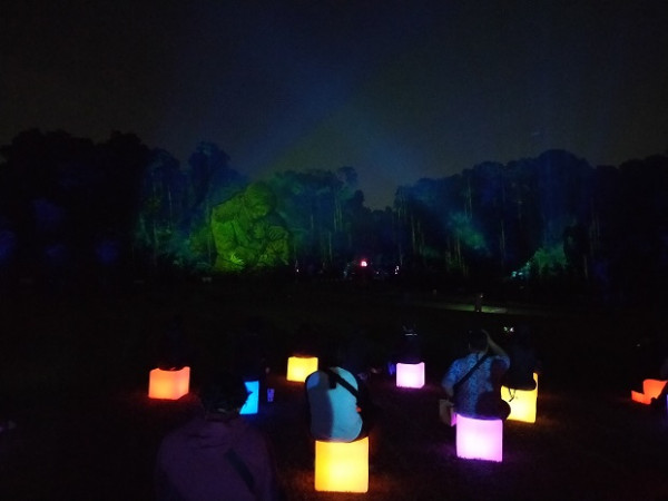 Mengintip Eduwisata Malam GLOW yang Bakal Mempercantik Kebun Raya Bogor
