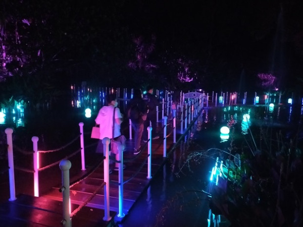 Mengintip Eduwisata Malam GLOW yang Bakal Mempercantik Kebun Raya Bogor