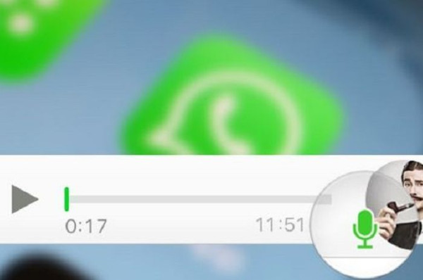 Cara Mengetahui Pesan Whatsapp Sudah Dibaca meski Centang Biru Dimatikan