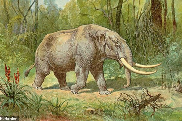 Bocah di Michigan Temukan Gigi Mastodon Berusia 11.000 Tahun