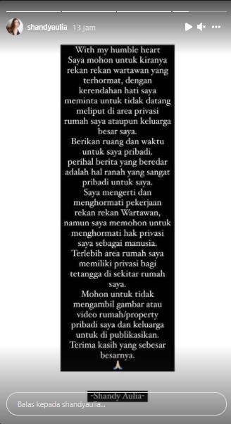 Diisukan Cerai, Shandy Aulia Minta Kehidupan Pribadinya Tak Diusik