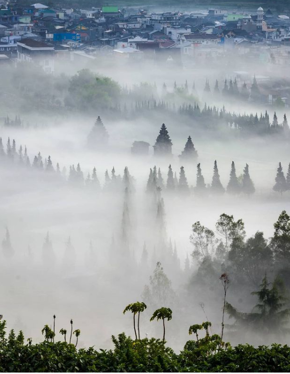 Voigtlander Indonesia Umumkan Pemenang Lomba Foto Berhadiah Rp70 Juta