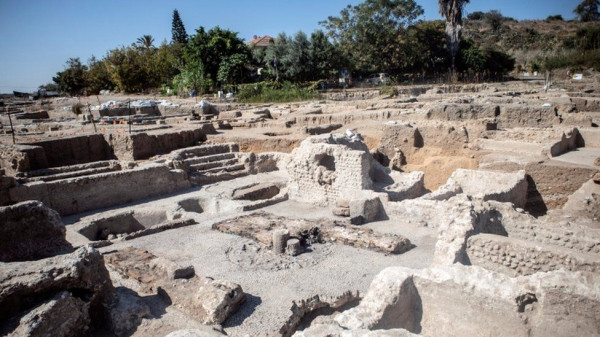 Israel Temukan Pabrik Wine Terbesar di Dunia Era Bizantium