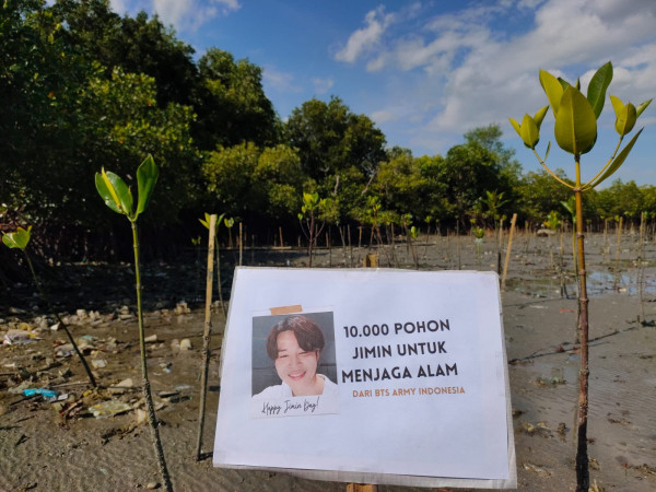 Jimin BTS Ulang Tahun, Ini Proyek Amal Keren yang Dibuat ARMY Indonesia