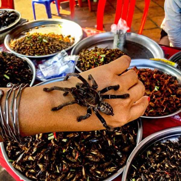 Pasar Kuliner Ekstrem di Asia, Ada yang Jual Buaya Goreng Krispi