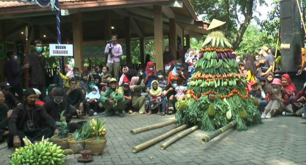 Sedekah Bumi, Ribuan Orang Berebut Gunungan Mangga di Wisata Benowo Park