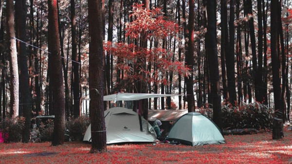 5 Destinasi Wisata Instagramable di Bogor, Cocok untuk Nongkrong