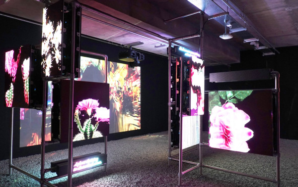LG Self Lit, Ketika Seni Kontemporer Ditampilkan di Atas Kanvas TV OLED