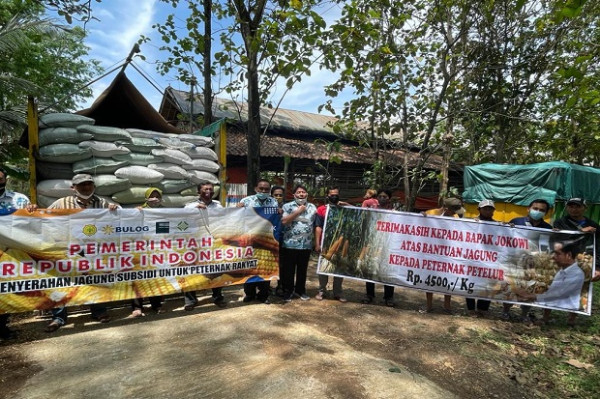 Bulog Siap Laksanakan Penugasan Penyediaan dan Penyaluran Jagung