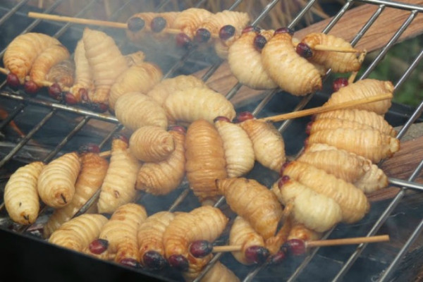 10 Makanan Ekstrem di Indonesia, Ada Jus Cacing hingga Sate Biawak