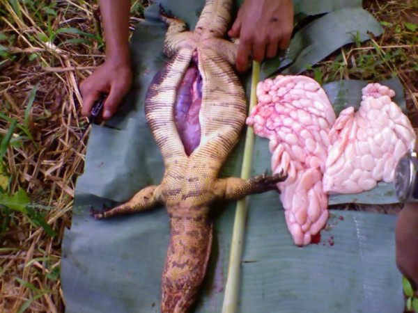 10 Makanan Ekstrem di Indonesia, Ada Jus Cacing hingga Sate Biawak