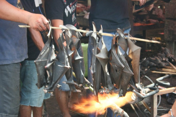 10 Makanan Ekstrem di Indonesia, Ada Jus Cacing hingga Sate Biawak