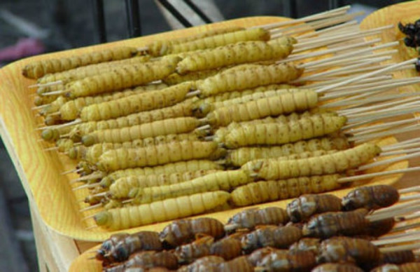 10 Makanan Ekstrem di Indonesia, Ada Jus Cacing hingga Sate Biawak