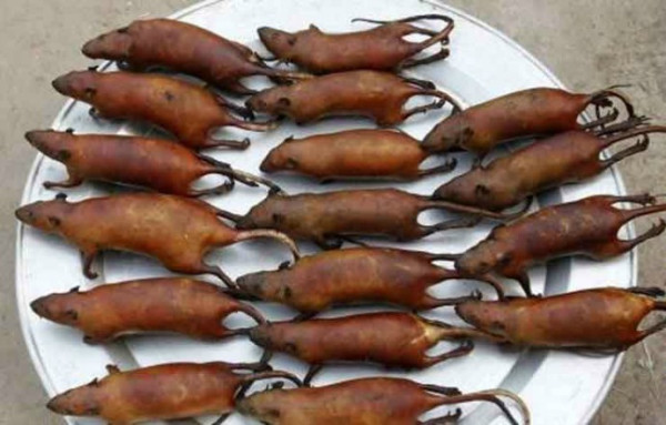 10 Makanan Ekstrem di Indonesia, Ada Jus Cacing hingga Sate Biawak