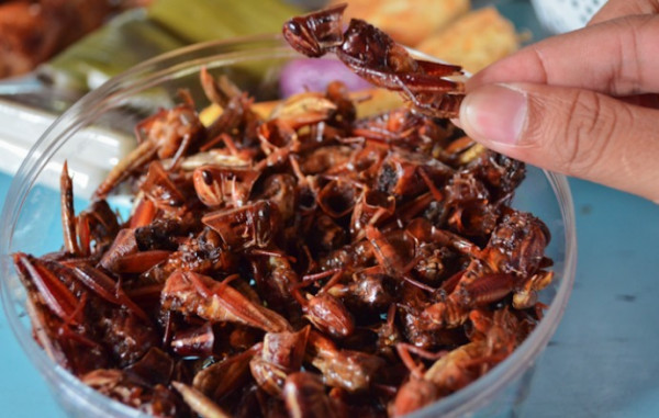 10 Makanan Ekstrem di Indonesia, Ada Jus Cacing hingga Sate Biawak