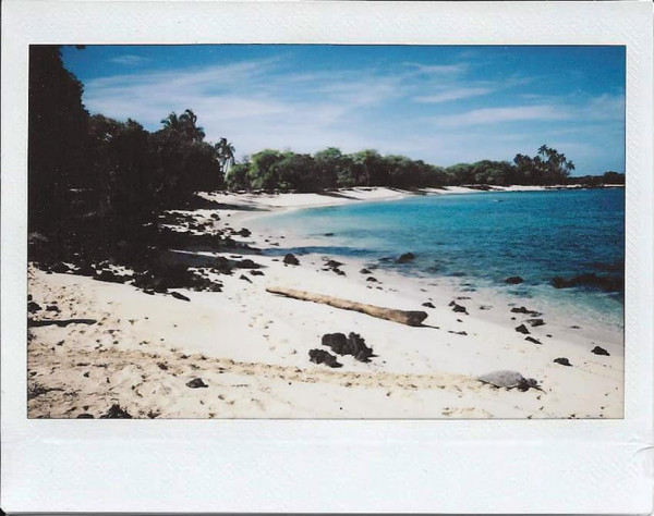 Spesifikasi, Harga, dan Keunggulan Printer Foto Instan Portabel instax Link Wide