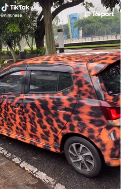 Viral! Emak-Emak Hobi Koleksi Barang Motif Macan, Rumahnya Jadi Serba Loreng