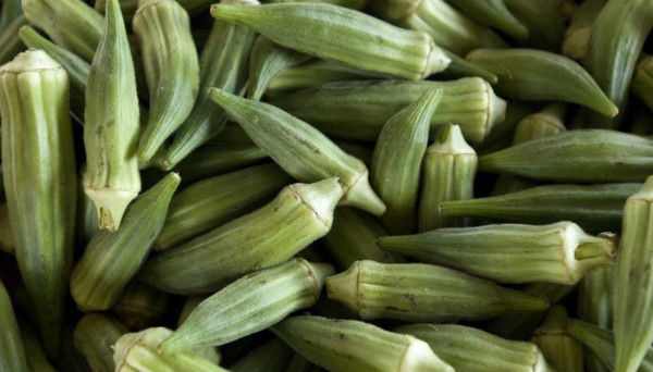 5 Sayur Penurun Kolesterol Tinggi yang Cepat dan Ampuh