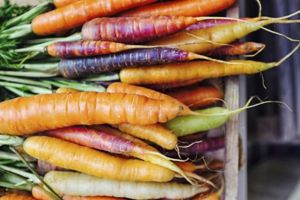 5 Sayur Penurun Kolesterol Tinggi yang Cepat dan Ampuh