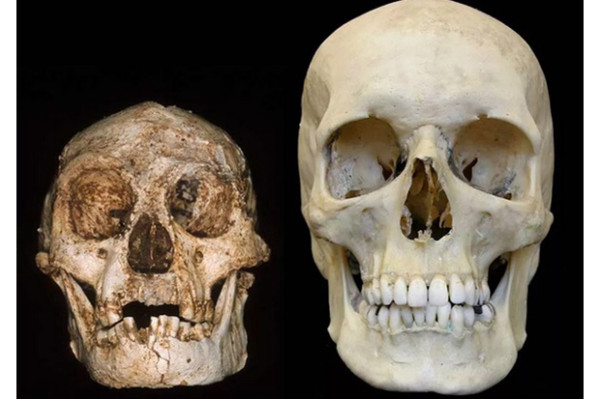 7 Penemuan Arkeologi Paling Misterius, Salah Satunya Ada di Indonesia