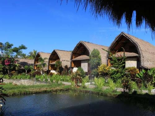 Melihat Daya Tarik 3 Desa Wisata yang Wakili Indonesia dalam UNWTO Best Tourism Village 2021