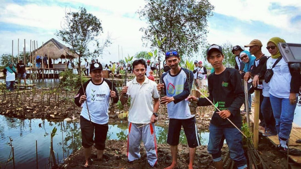 mangrove