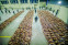 floating-Dikecam Pemerintah,...