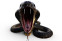 floating-Gagal dengan Viper,...