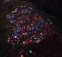 floating-Kawasan Puncak Dipadati...