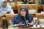 floating-Pemerintah Diminta Segera...