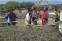 floating-Proyek PLTU Timor 1...