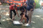 floating-Polres Ternate Bekuk...