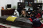 floating-Ketegaran Kekasih Editor...