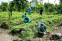 floating-Bantaran Sungai dan...
