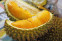 floating-Durian dan Kelapa Turut...