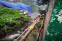 floating-Hujan Lebat, Kota Malang...