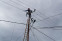 floating-PLN Gerak Cepat Pulihkan...