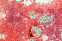 floating-Mutasi Virus Corona...