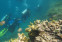 floating-Ini 5 Alasan Prodi Ilmu...