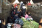 floating-Bawa Pemudik, Truk Sayur...