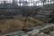 floating-Stadion JIS Berikan...