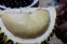 floating-Puluhan Durian Montong...