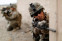 floating-Tragis, Total 139 Tentara...